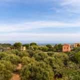 ...raggiungiamo la panoramica terrazza. Da quest�altezza riusciamo a vedere, oltre il verdeggiante territorio circostante, i palazzi di Mola e l�azzurro mare in lontananza